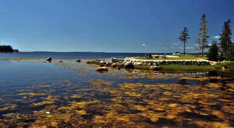 water scene
